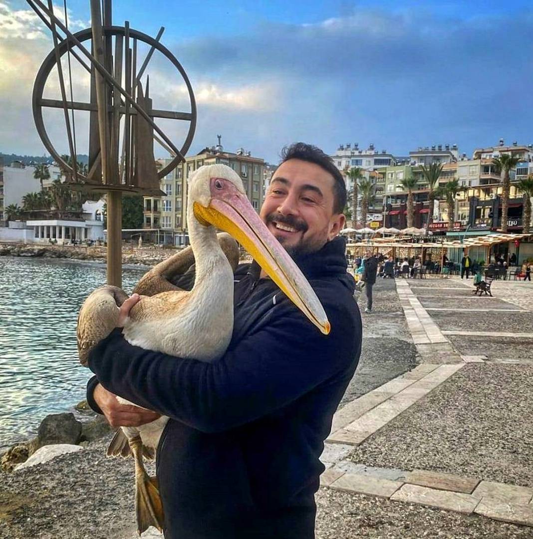 Bir anda sahilde belirdi, görenler telefona sarıldı! O kentin adeta maskotu oldu 4